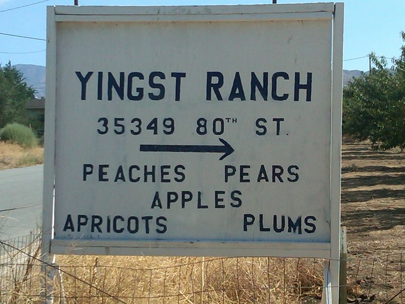 Yingst Ranch-juliewrightlandcompany