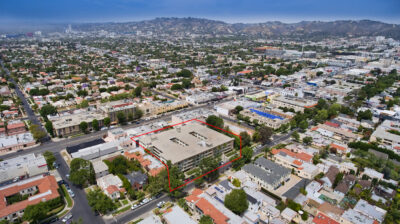 Doggy Haircuts and Baby Giraffes