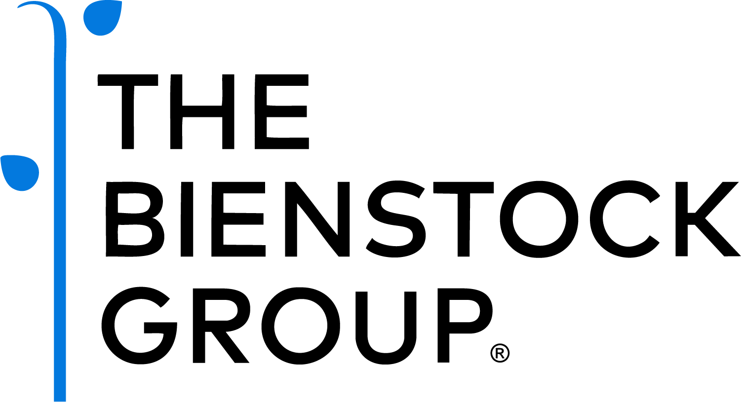 the bienstock group